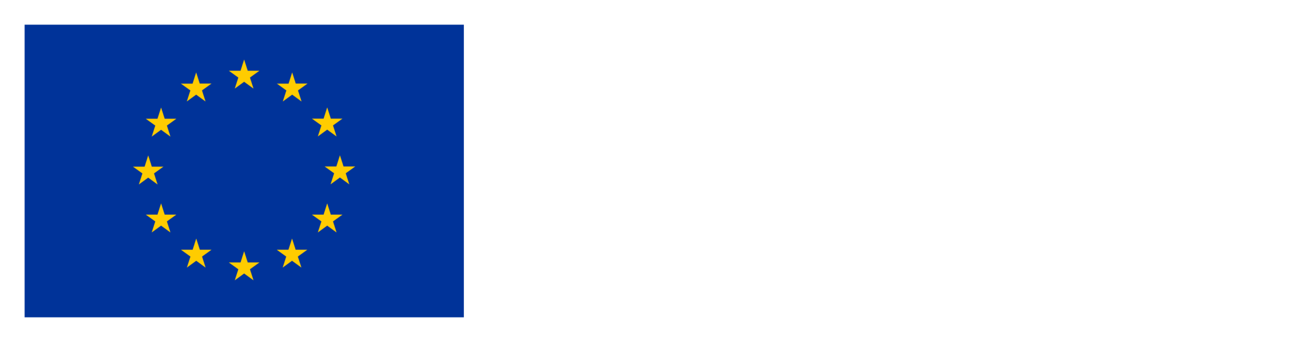 ES_Financiado_por_la_Unión_Europea_RGB_NEG